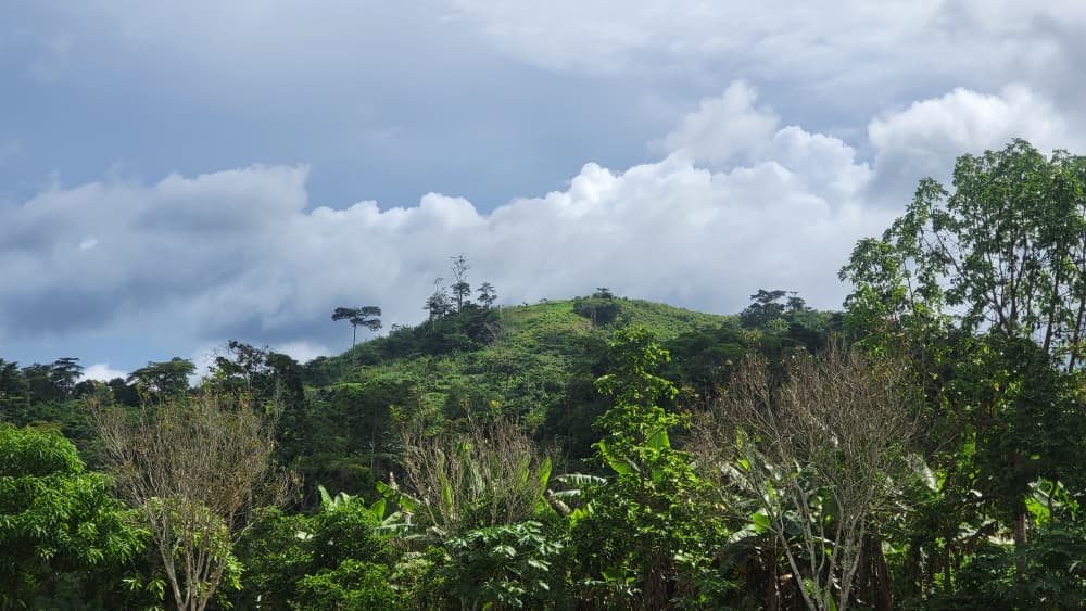 Colline boisée aux abords de Yaoundé