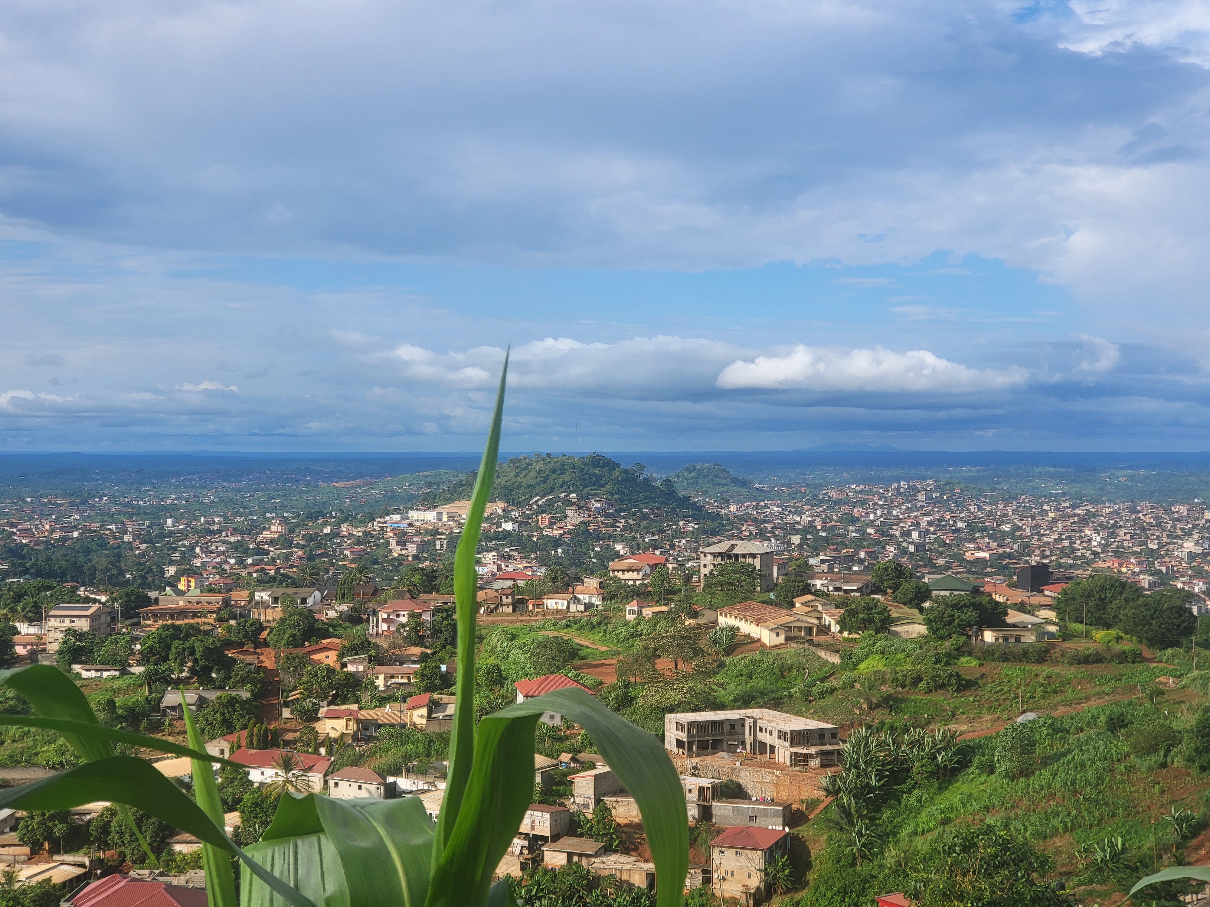 Vue panoramique de Yaoundé, capitale verte du Cameroun